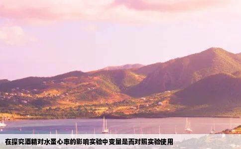 在探究酒精对水蚤心率的影响实验中变量是而对照实验使用