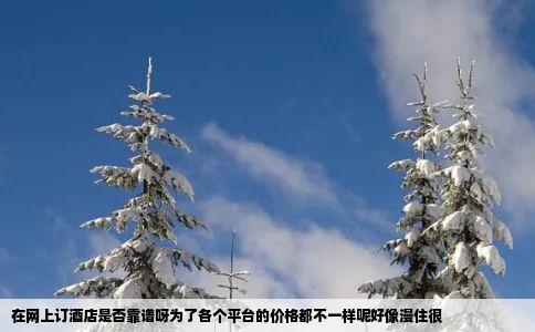 在网上订酒店是否靠谱呀为了各个平台的价格都不一样呢好像漫住很