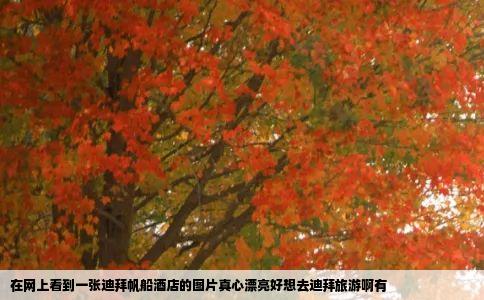 在网上看到一张迪拜帆船酒店的图片真心漂亮好想去迪拜旅游啊有