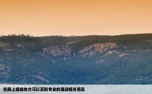 在网上哪些地方可以买到专业的酒店相关用品