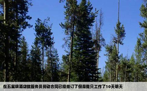 在五星级酒店做服务员劳动合同已经签订了但是我只工作了10天明天