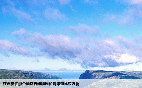 在西安住那个酒店去动物园和海洋馆比较方便