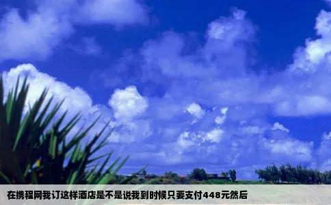 在携程网我订这样酒店是不是说我到时候只要支付448元然后