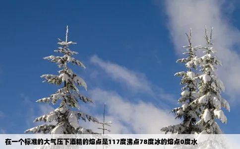 在一个标准的大气压下酒精的熔点是117度沸点78度冰的熔点0度水