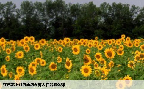 在艺龙上订的酒店没有入住会怎么样