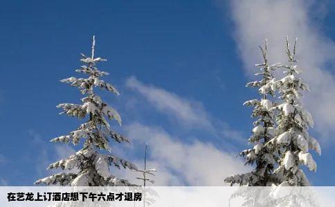 在艺龙上订酒店想下午六点才退房