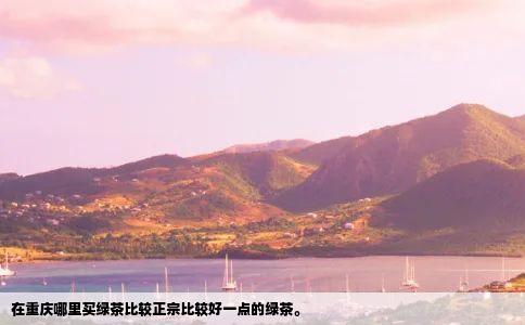 在重庆哪里买绿茶比较正宗比较好一点的绿茶