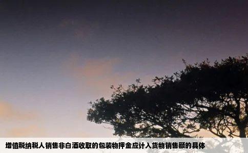 增值税纳税人销售非白酒收取的包装物押金应计入货物销售额的具体