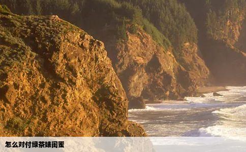 怎么对付绿茶婊闺蜜