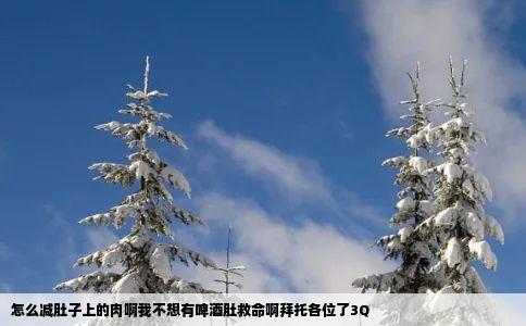 怎么减肚子上的肉啊我不想有啤酒肚救命啊拜托各位了3Q