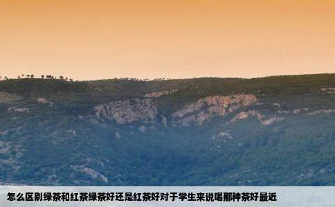 怎么区别绿茶和红茶绿茶好还是红茶好对于学生来说喝那种茶好最近