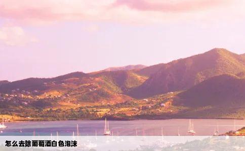 怎么去除葡萄酒白色泡沫