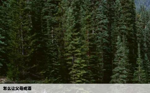 怎么让父母戒酒