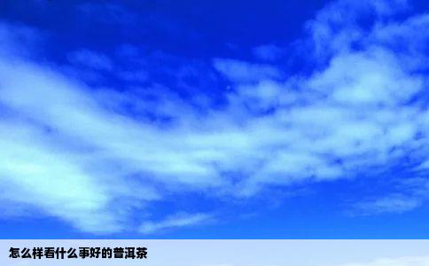 怎么样看什么事好的普洱茶