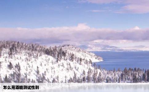 怎么用酒精测试性别