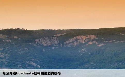 怎么知道burdinale班柯葡萄酒的价格