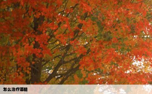 怎么治疗酒精