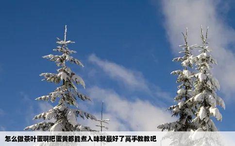怎么做茶叶蛋啊把蛋黄都能煮入味就最好了高手教教吧