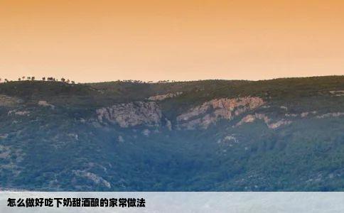 怎么做好吃下奶甜酒酿的家常做法