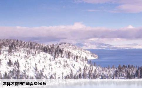 怎样才能把白酒卖给90后