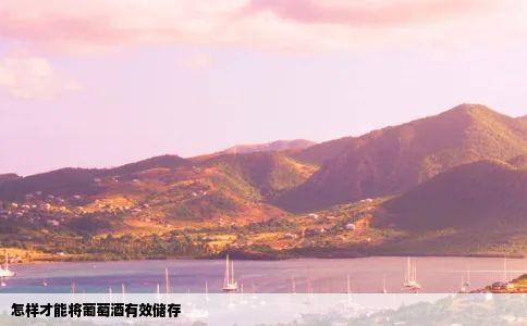 怎样才能将葡萄酒有效储存