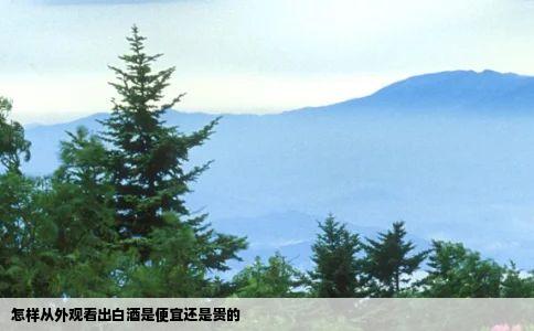 怎样从外观看出白酒是便宜还是贵的