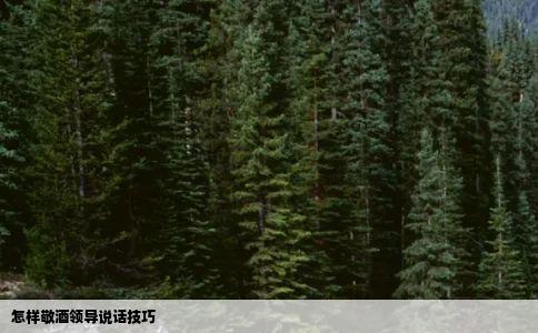 怎样敬酒领导说话技巧