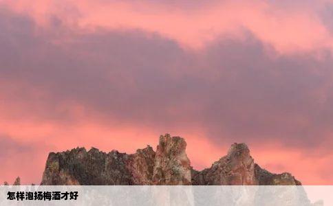 怎样泡扬梅酒才好