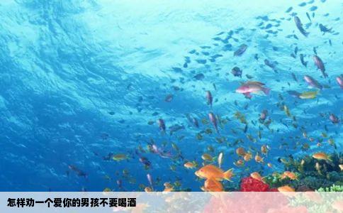 怎样劝一个爱你的男孩不要喝酒