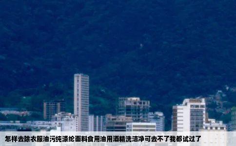 怎样去除衣服油污纯涤纶面料食用油用酒精洗洁净可去不了我都试过了