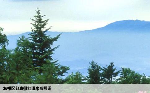 怎样区分真假红酒木瓜靓汤