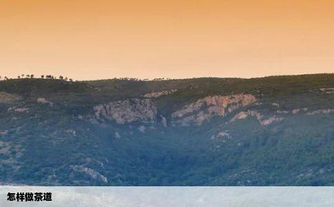 怎样做茶道