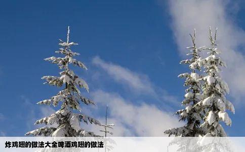 炸鸡翅的做法大全啤酒鸡翅的做法