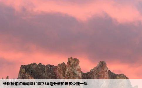 张裕原浆红葡萄酒11度750毫升谁知道多少钱一瓶