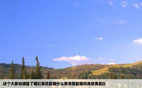 这个大家知道除了喝红茶还能喝什么茶青茶能喝吗黄茶黑茶白