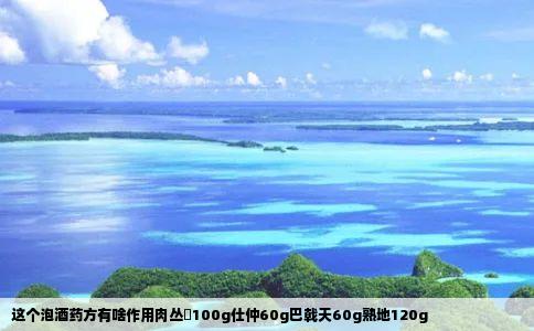 这个泡酒药方有啥作用肉丛岺100g仕仲60g巴戟天60g熟地120g