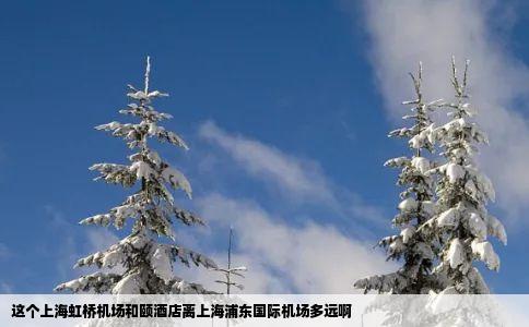 这个上海虹桥机场和颐酒店离上海浦东国际机场多远啊