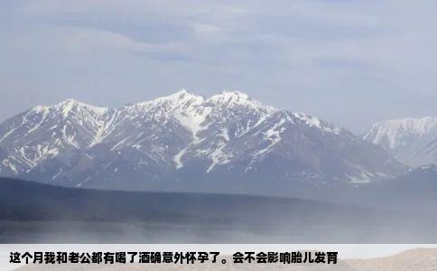 这个月我和老公都有喝了酒确意外怀孕了会不会影响胎儿发育