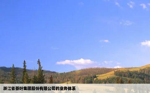 浙江省茶叶集团股份有限公司的业务体系