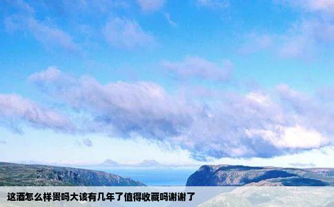 这酒怎么样贵吗大该有几年了值得收藏吗谢谢了