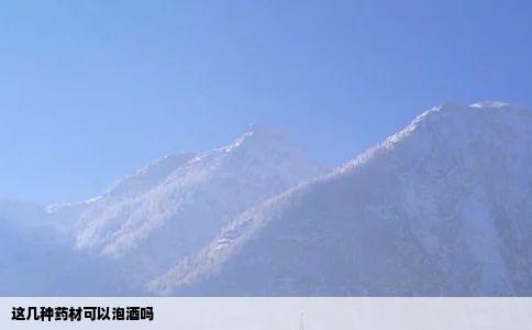 这几种药材可以泡酒吗