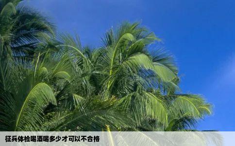 征兵体检喝酒喝多少才可以不合格