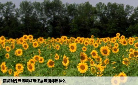 蒸发时熄灭酒精灯后还需玻璃棒搅拌么