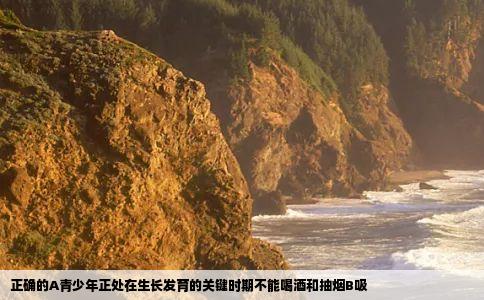 正确的A青少年正处在生长发育的关键时期不能喝酒和抽烟B吸