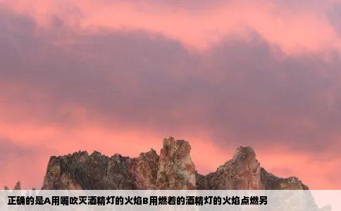 正确的是A用嘴吹灭酒精灯的火焰B用燃着的酒精灯的火焰点燃另