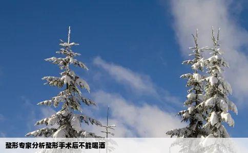 整形专家分析整形手术后不能喝酒