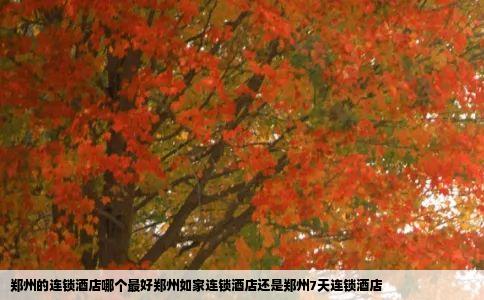 郑州的连锁酒店哪个最好郑州如家连锁酒店还是郑州7天连锁酒店