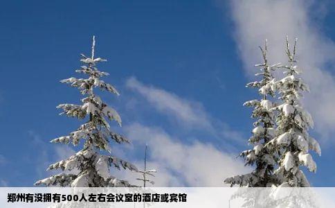 郑州有没拥有500人左右会议室的酒店或宾馆