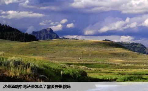 这是酒精中毒还是怎么了需要去医院吗