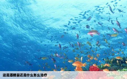 这是酒糟鼻还是什么怎么治疗